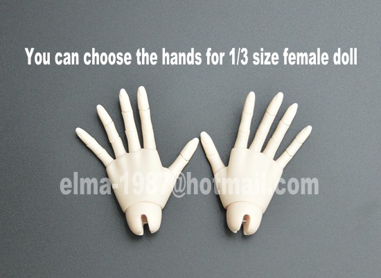 hands-for-female.jpg