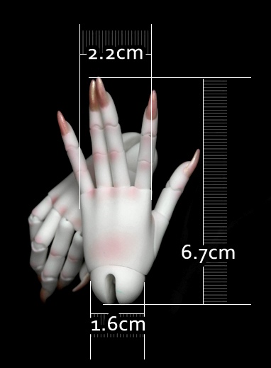 long_nail_jointed_female_hands_5.jpg