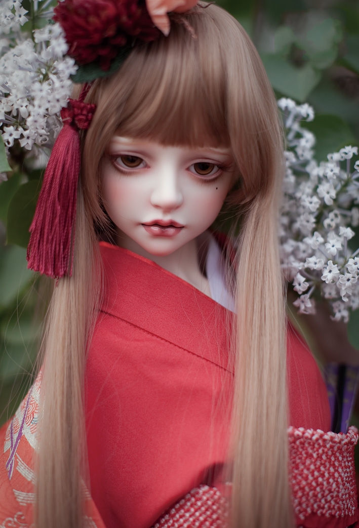 Camellia_1.jpg