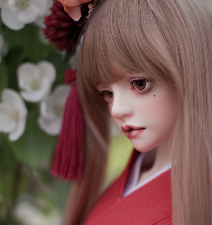 Camellia_3.jpg