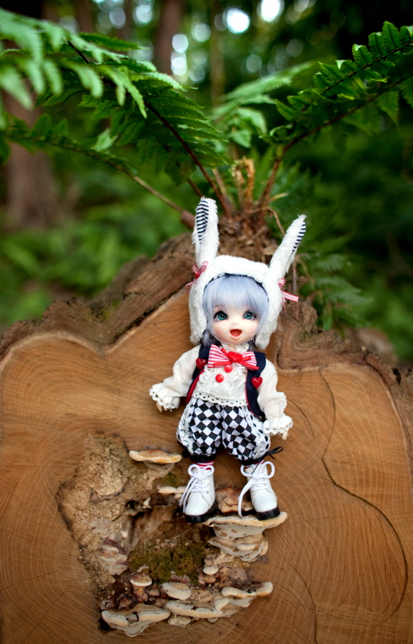 BJD pongpong 1/8 bjd doll tiny elf anime manga dollfie fairyland cute muñeca
